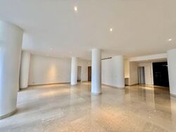 The Colonnade (D10), Condominium #553309081